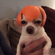 МАНДАРИНКА!!