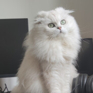 男德优秀毕业生