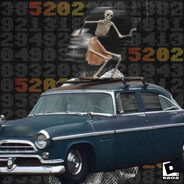 Esqueleto 5202