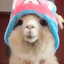 Shpee