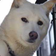 Rich Kim - steam id 76561197960280137