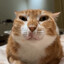 nub