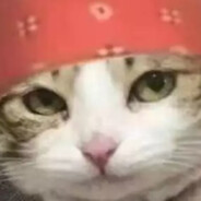 oh♂酸萝卜别吃