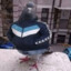 LethalBird
