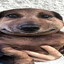 бобка