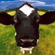 Alberto RDM skins.army