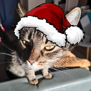 Яблочная настойк