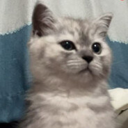 小左没带大心脏