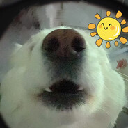 水蜜桃味的雪糕