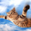 FlyingCat