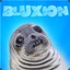 BluXion