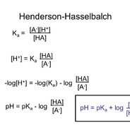 Henderson-Hasselbalch