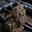 Assassin's Grower