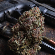 Assassin's Grower