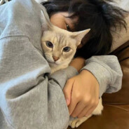 <#FF79BC>Deep<#FF00FF>love_