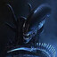 JUNINHO XENOMORFO