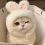 exzorhi