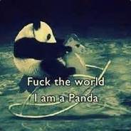 Brave Little Panda ;_;
