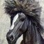 AfRo_HoRsE
