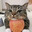 uglycat