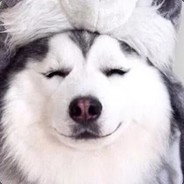 966
