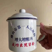 此生必上东北雨姐