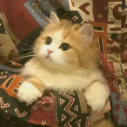 一定要平平安安呀