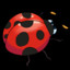 Coccineli