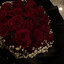 ph.T's avatar