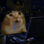 Misterhawks