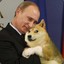 Russian Doge