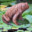 La música de hairy frog