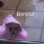 Bonjour.