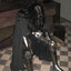 1.class's avatar