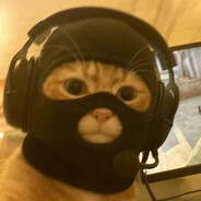 baklava cat