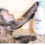 Moisturizing Ape