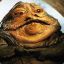 Jabba The Hutt