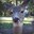 Fumblebuck