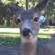 Fumblebuck