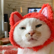 屎盆子拌饭不怕噎