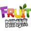 FruitNinja™