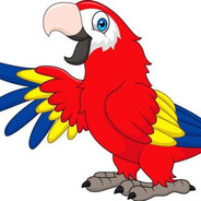 Эхослэм в Туле