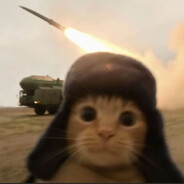 耄耋老猫