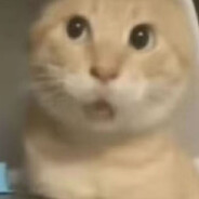 IVI Z J_找不到此猫_404