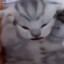 meow