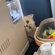 锅着了我也要洗碗