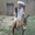 Zel3nskyy // Rampampam