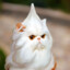 floydpaw