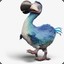 dodo2578