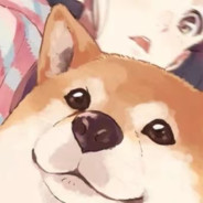 菜菜子的大白菜